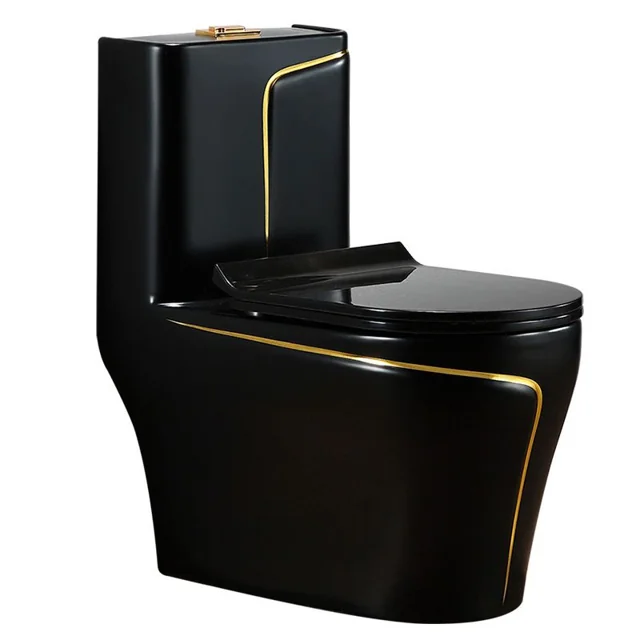 Luxury Black & Gold Toilet